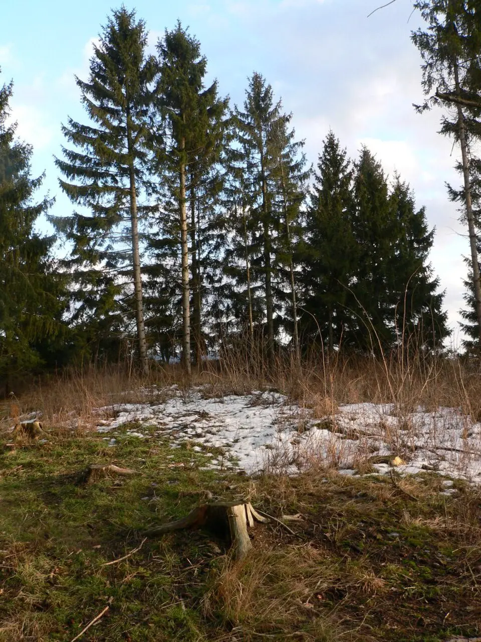 Image: NaKlar · CC BY-SA 4.0 Befestigung auf der Zottaschen