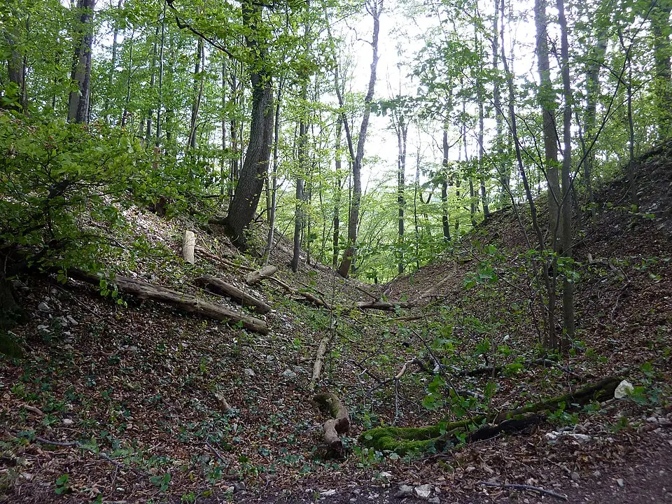 Burg Landsöhr