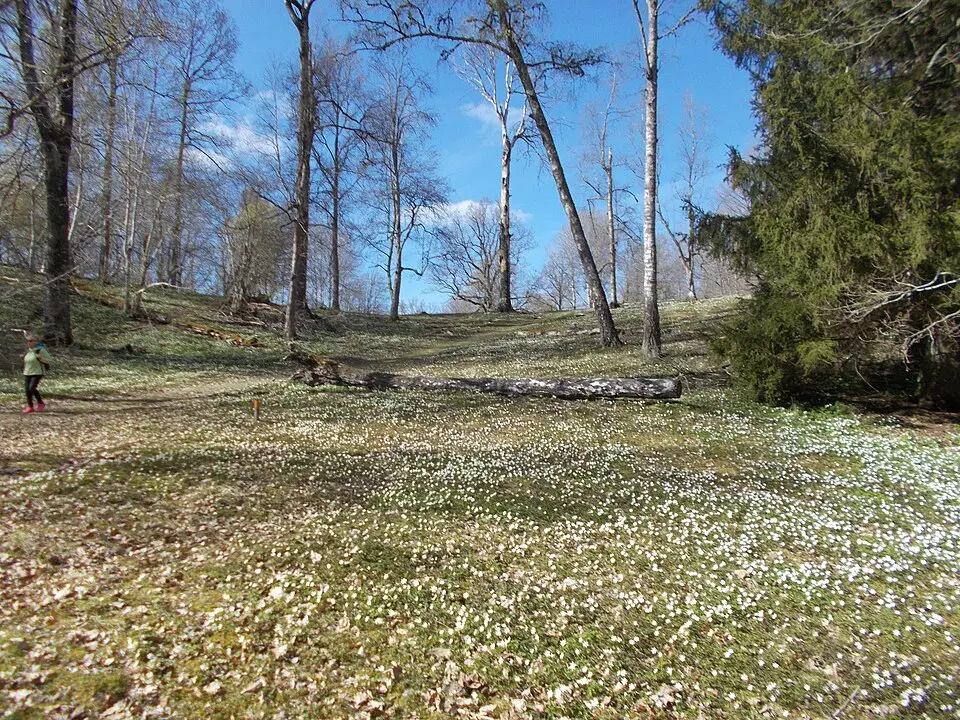 Tjälvesta