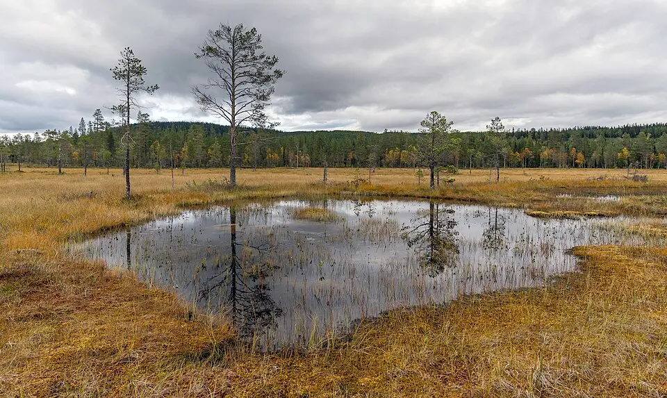 Tjåberget