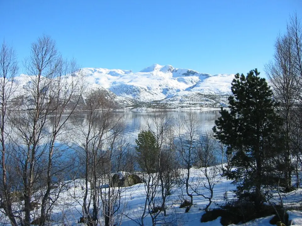 Nahral: Orcaborealis · CC BY-SA 2.5 Tjeldøya