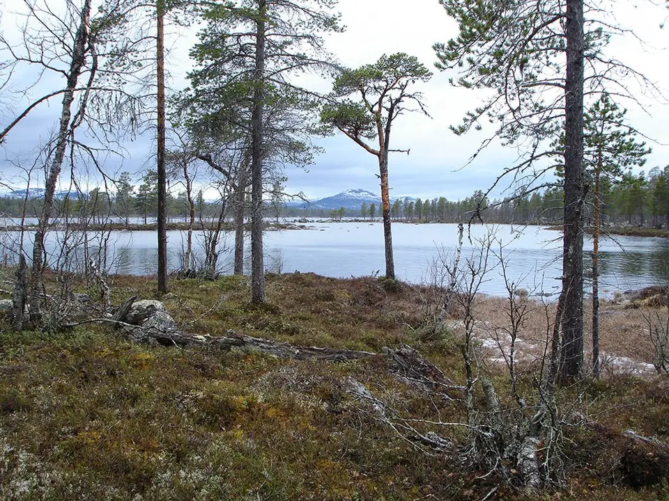 Tjeggelvas