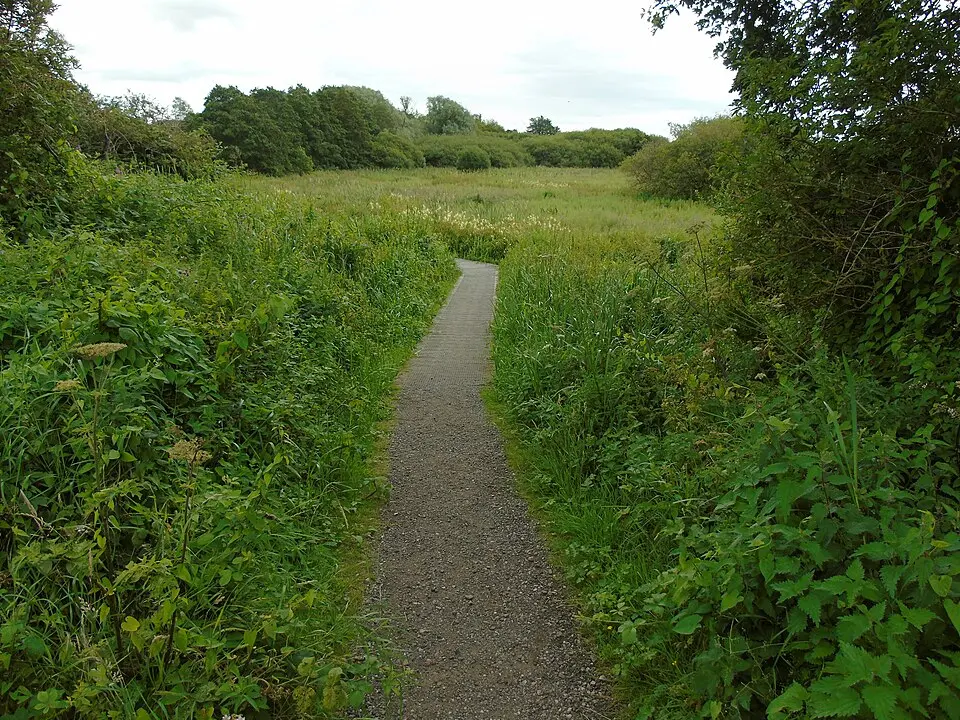 Cheshire West and Chester