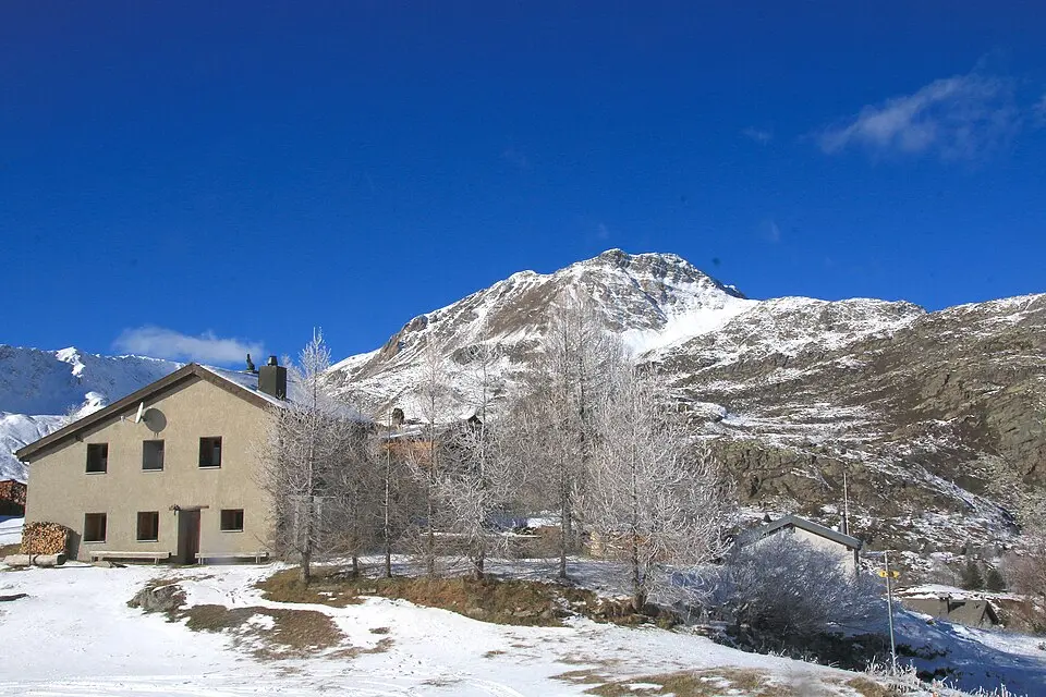 Tochuhorn