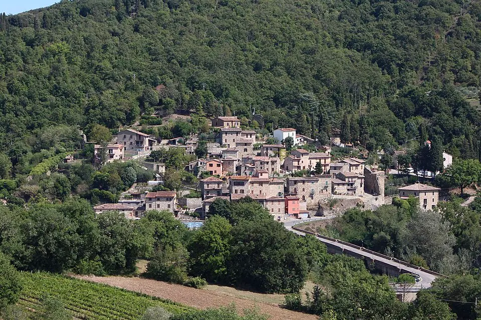 Pontecuti