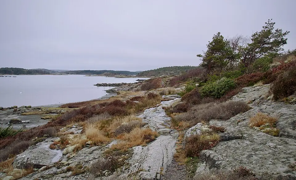 Tofta naturreservat
