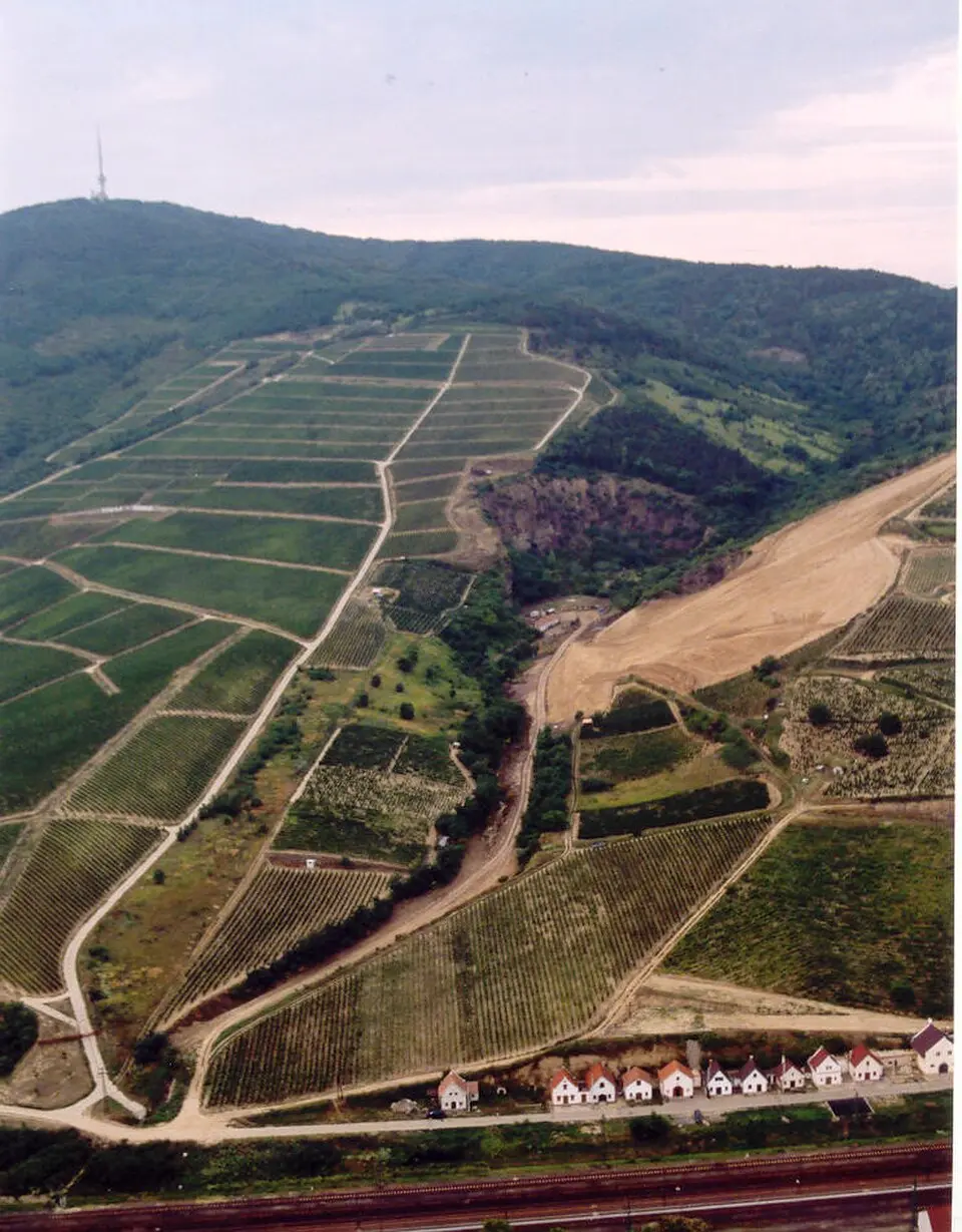 Tokaji borvidék (Magyarország)