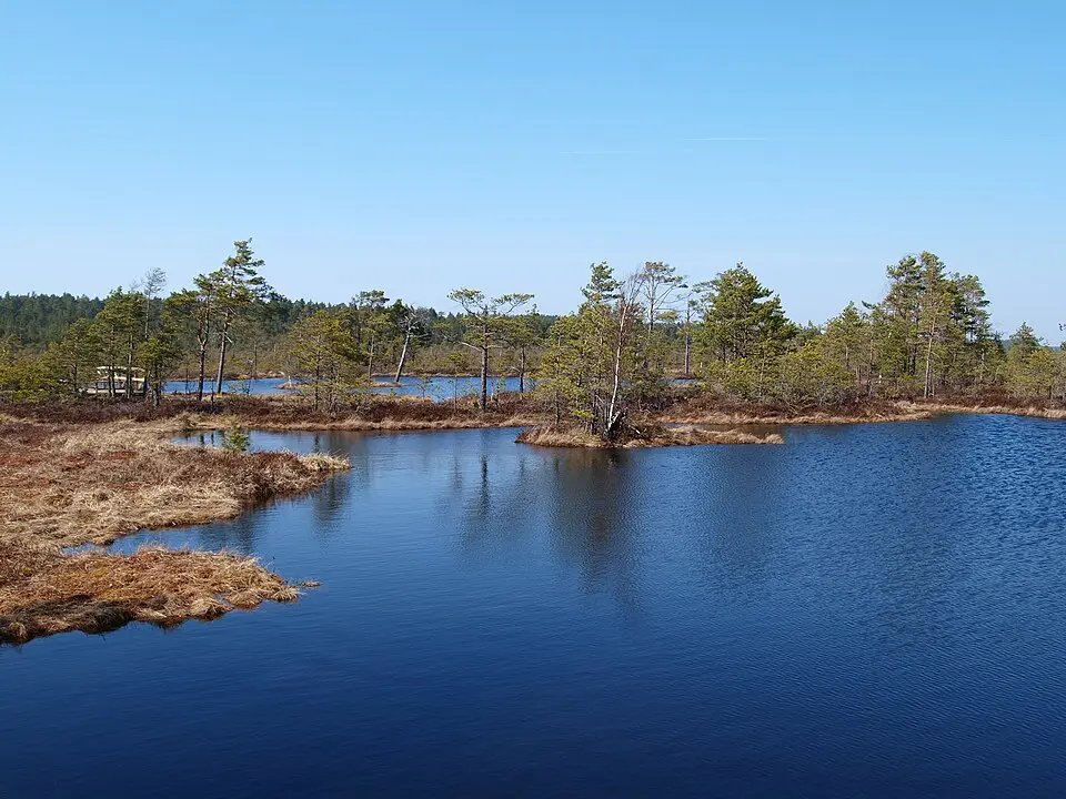 Häädemeeste
