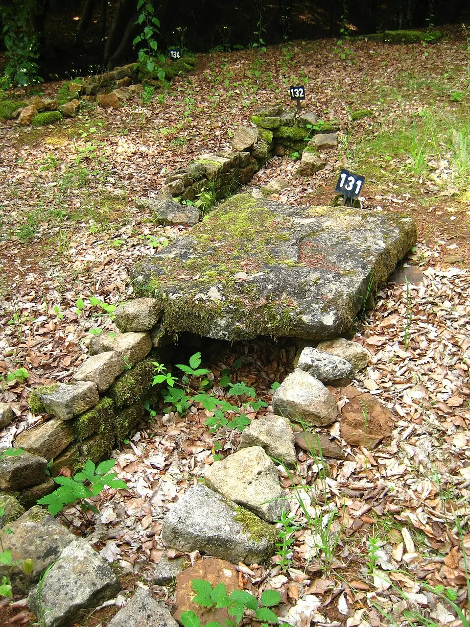 nécropole mérovingienne d'Audun-le-Tiche