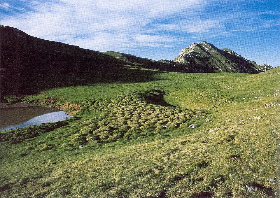 Bild: Alfredo Jacomella · CC BY-SA 3.0 Monte Tombea