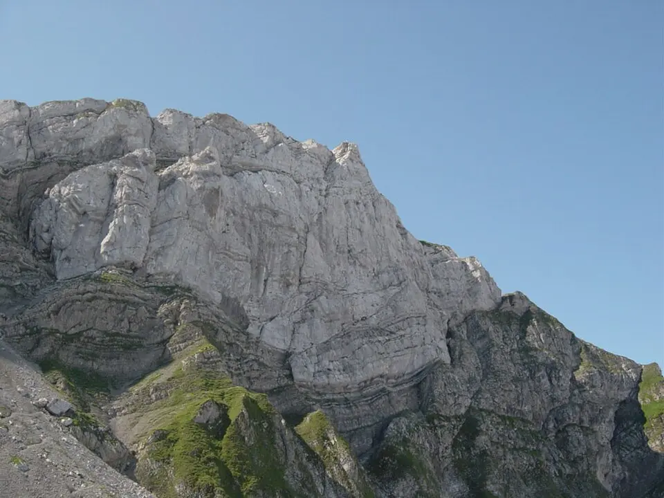 Tomlishorn