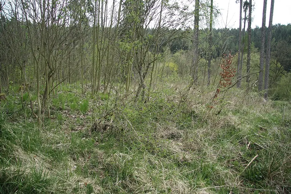 Hrádek