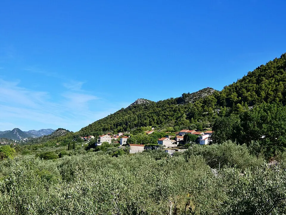 Topolo