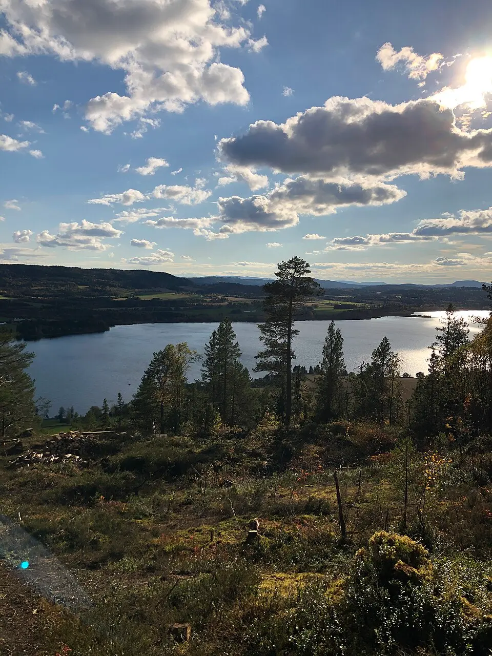 Klingsundet naturreservat