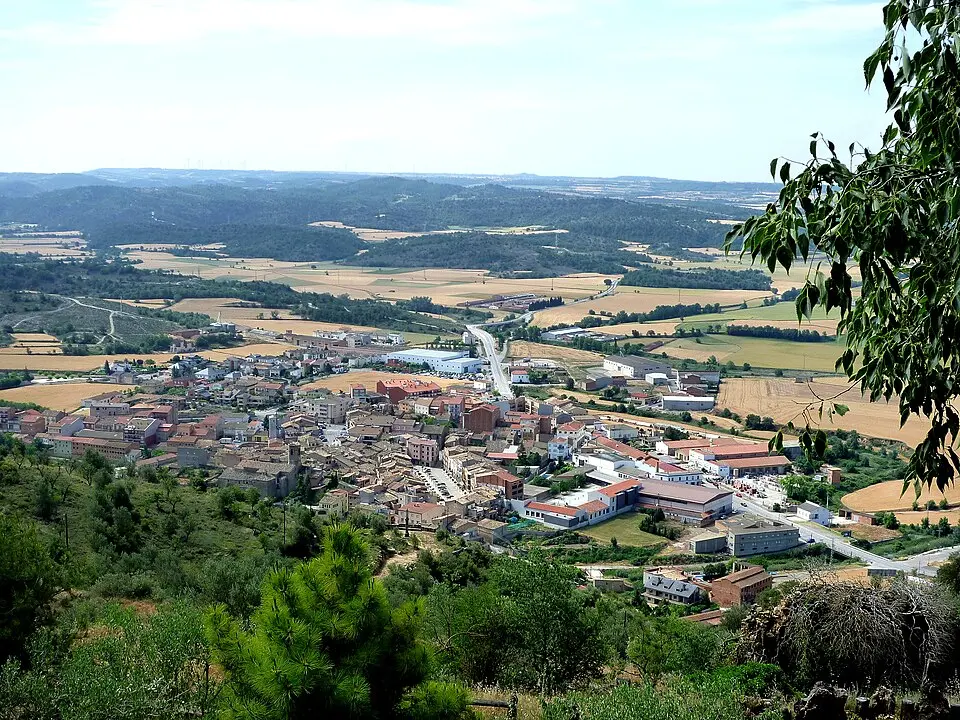 Torá