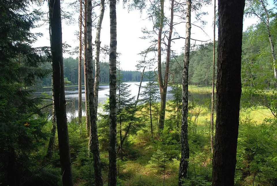 Wigierski Park Narodowy
