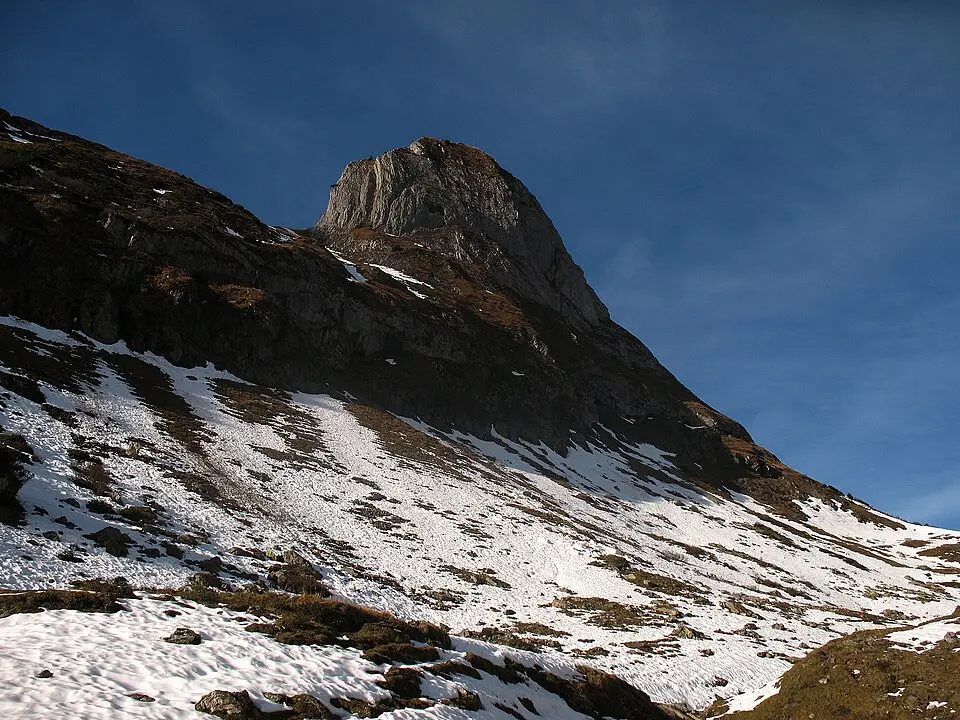 Torkopf