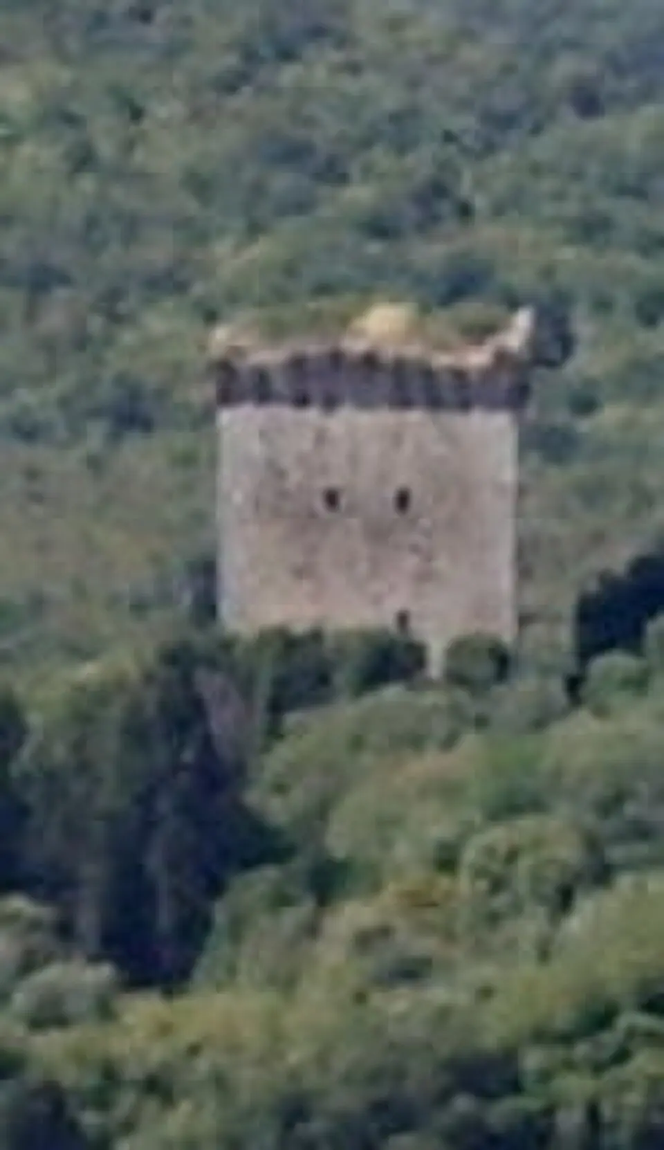 Torre Bassa