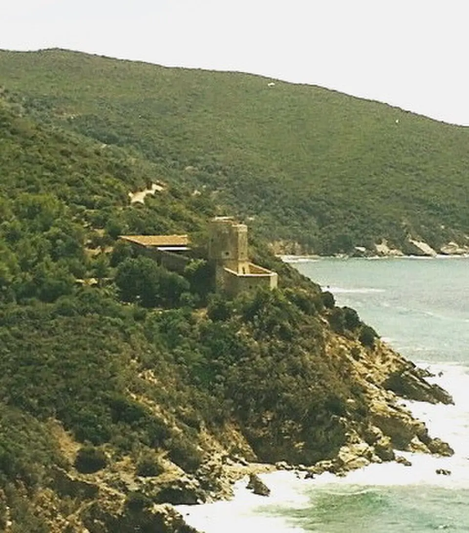 tour Cannelle