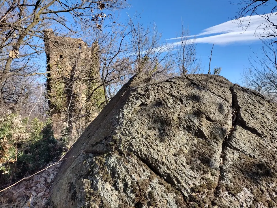 Torre delle Vigne