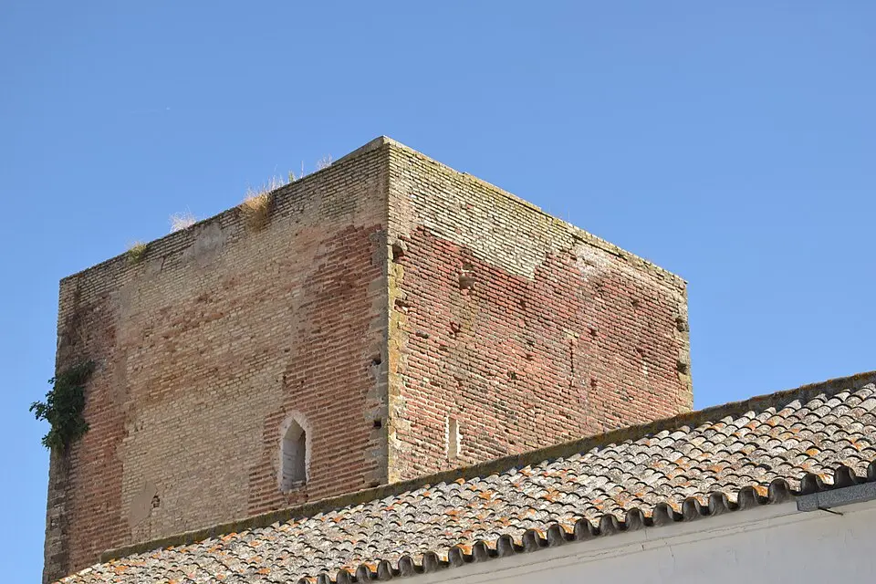 Torre Mocha de Loreto
