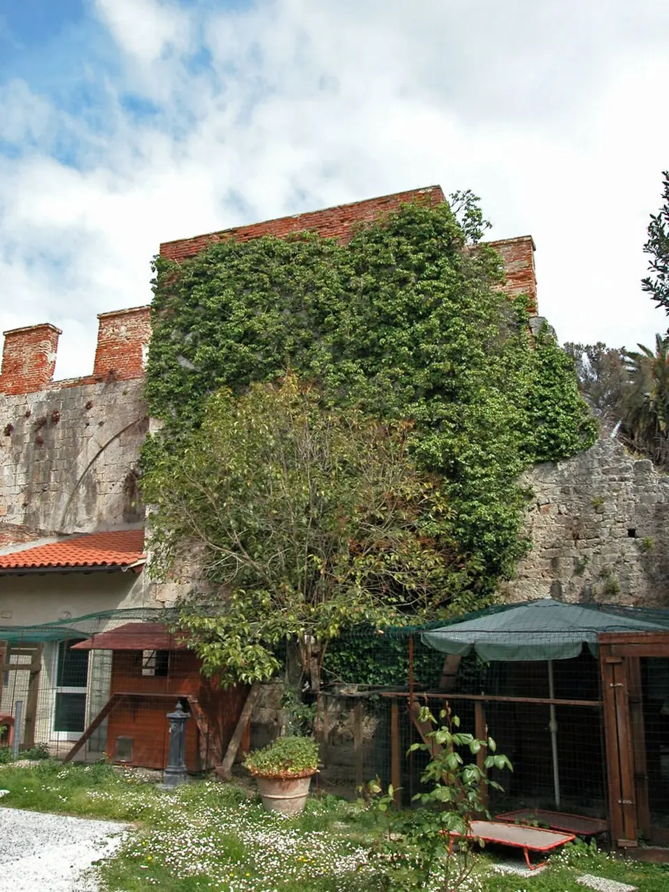 Tower San Martino in Guatolongo