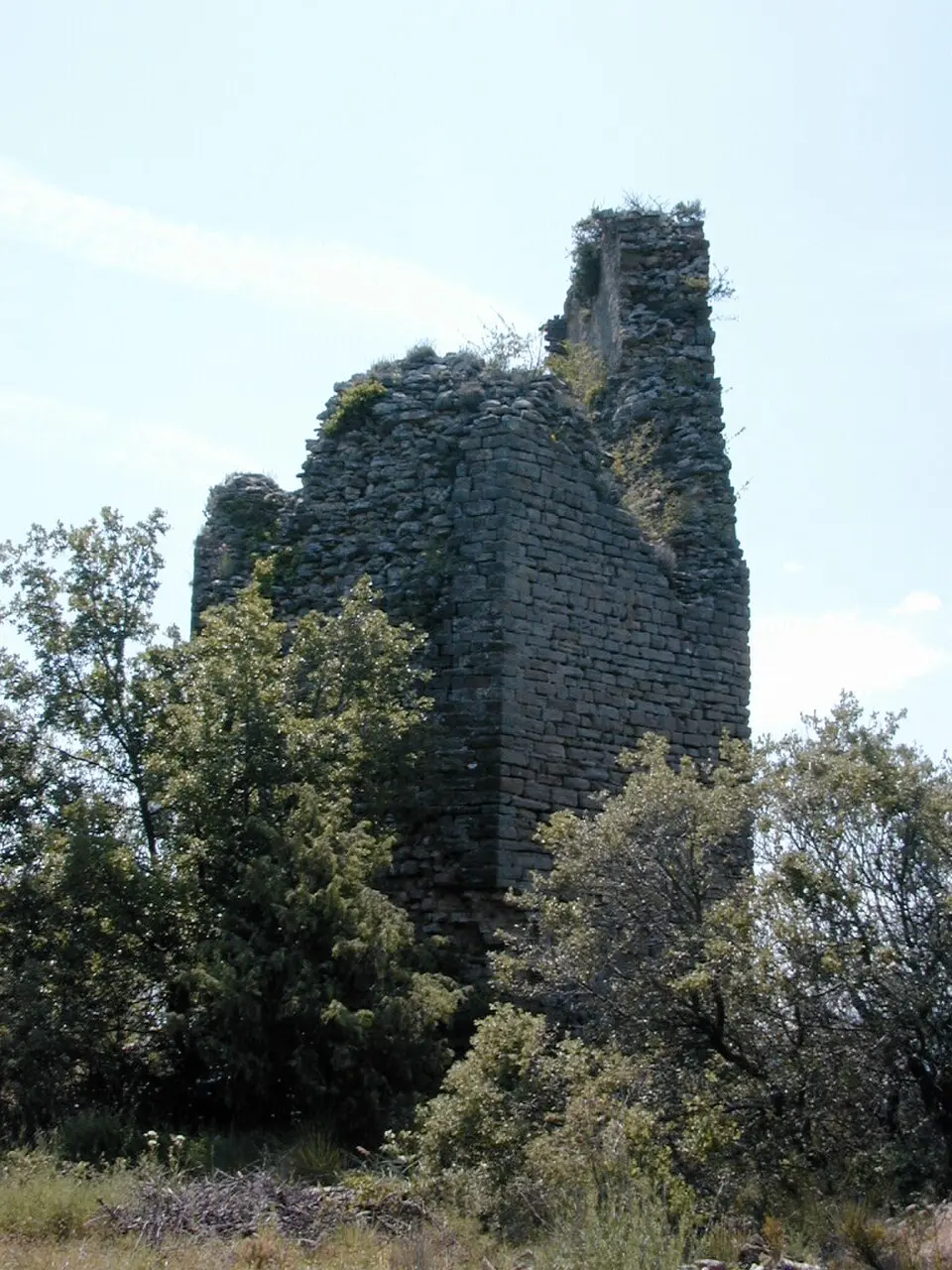 Torre de Arcusa