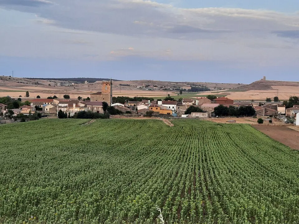 Torremocha del Campo