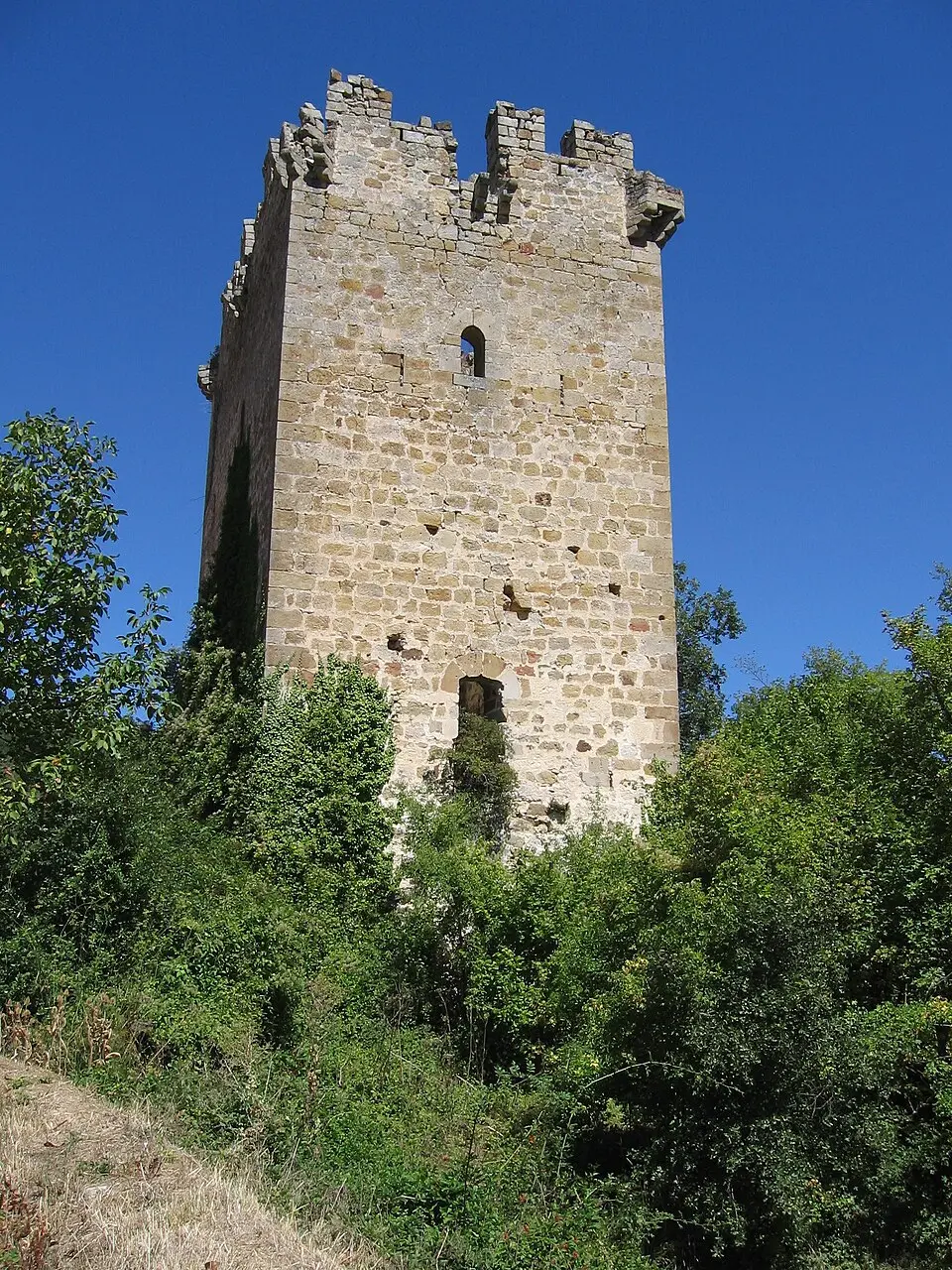 Casa Torre de Calderones y Salazares