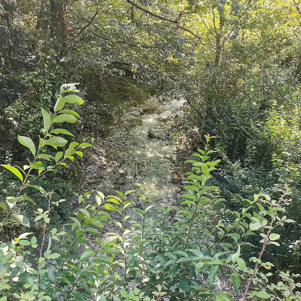 Torrente Zerbo