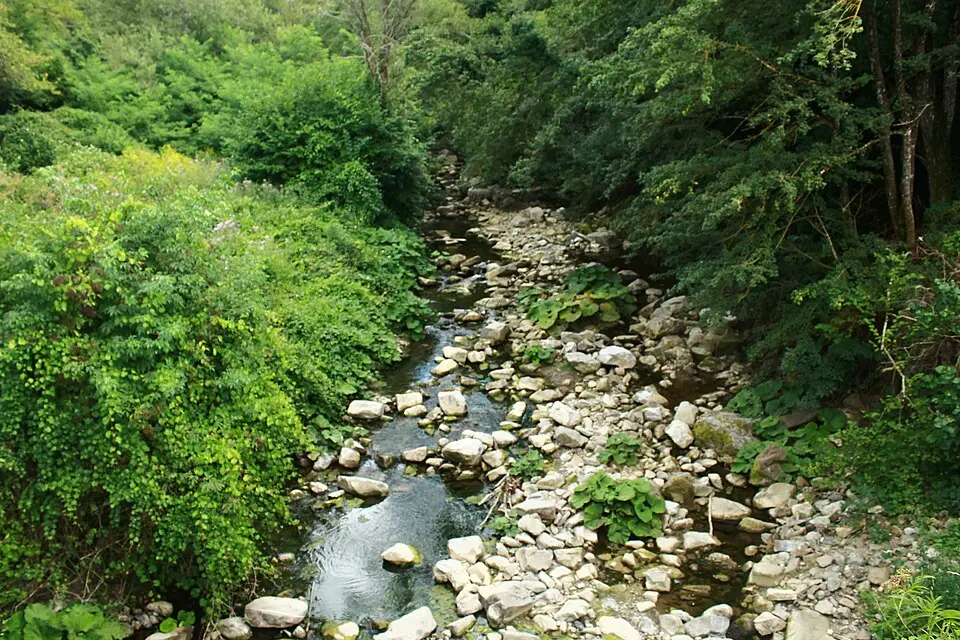 Zancona