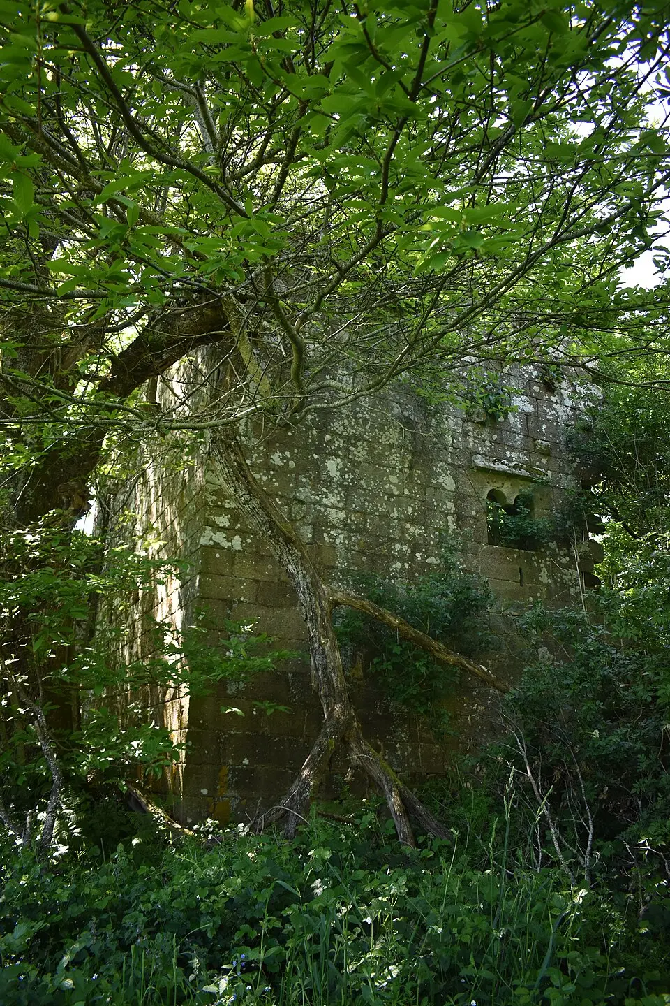 torre-tulla de Fafián