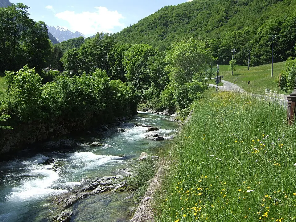 Pesio