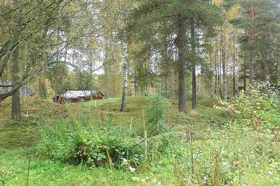 Pukeborg