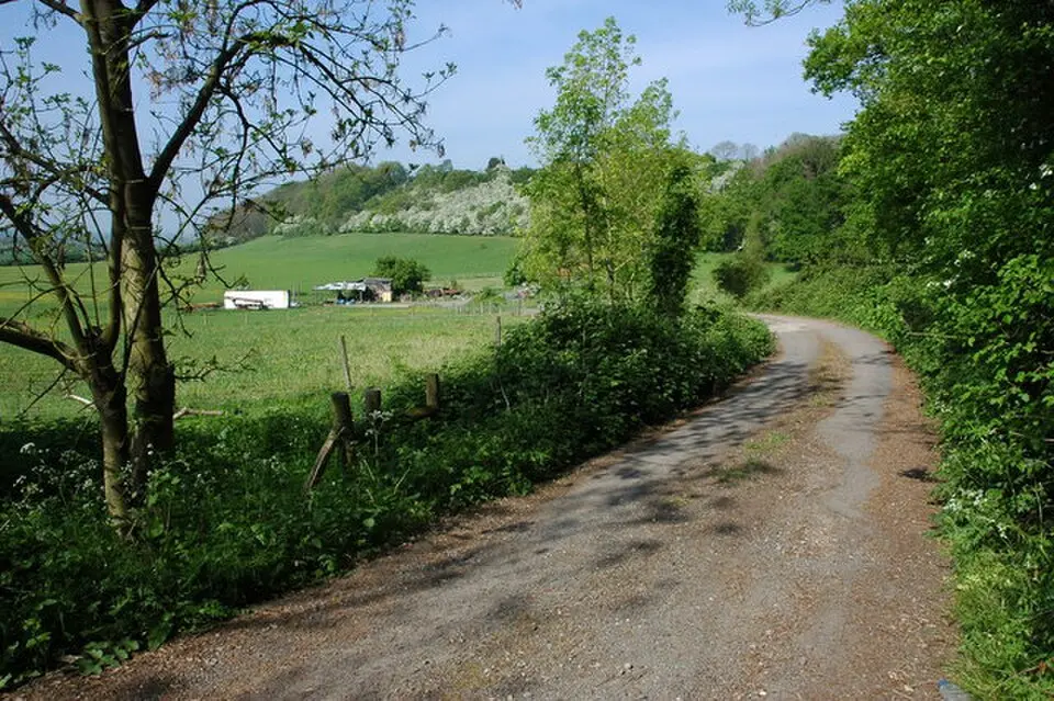 Hill and Moor