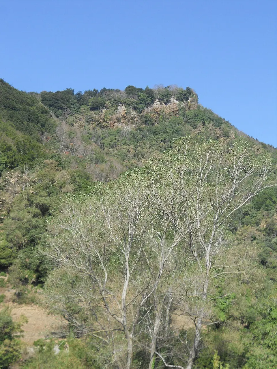 Image: Àlex · CC BY-SA 3.0 Tossa de Pibernat