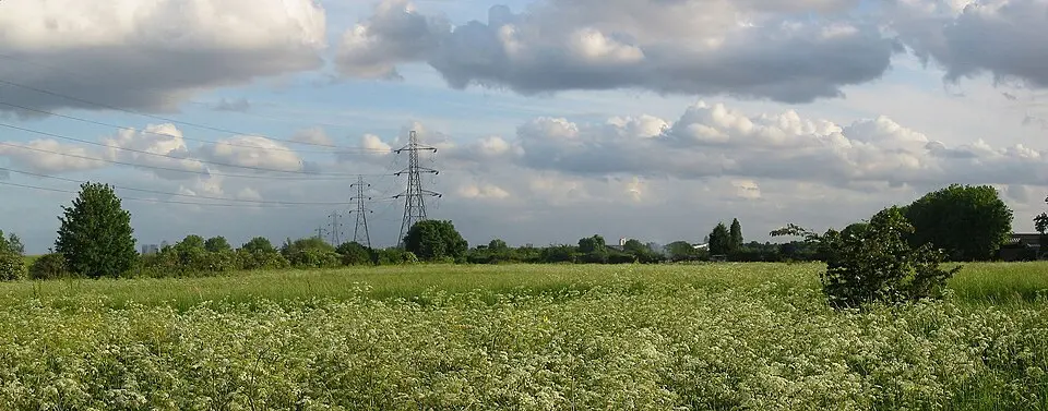 Tottenham Marshes
