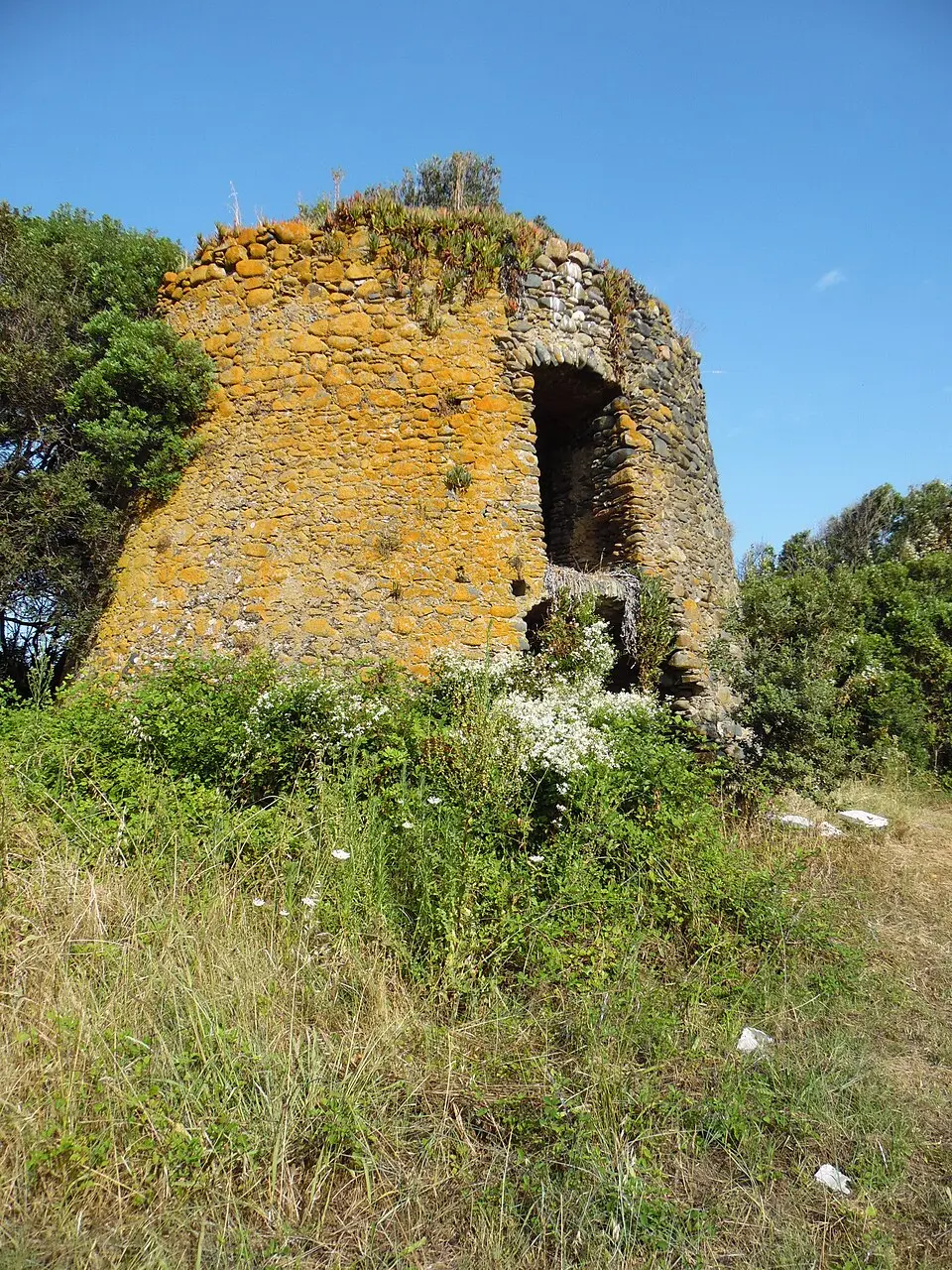 tour génoise de Fiorentina
