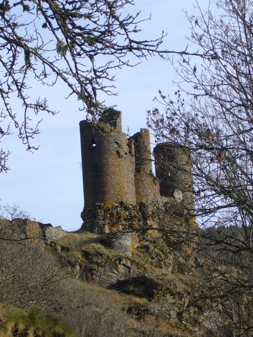 Obrázok: Sanguinez · CC BY-SA 3.0 château du Tournel