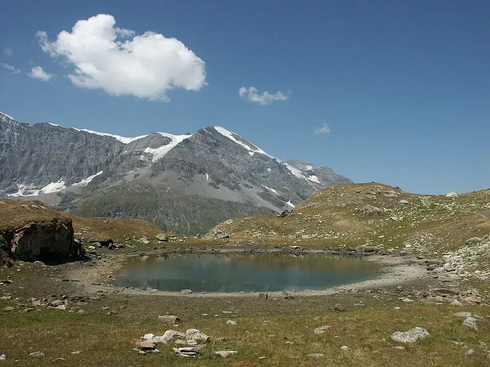 Tournelon Blanc