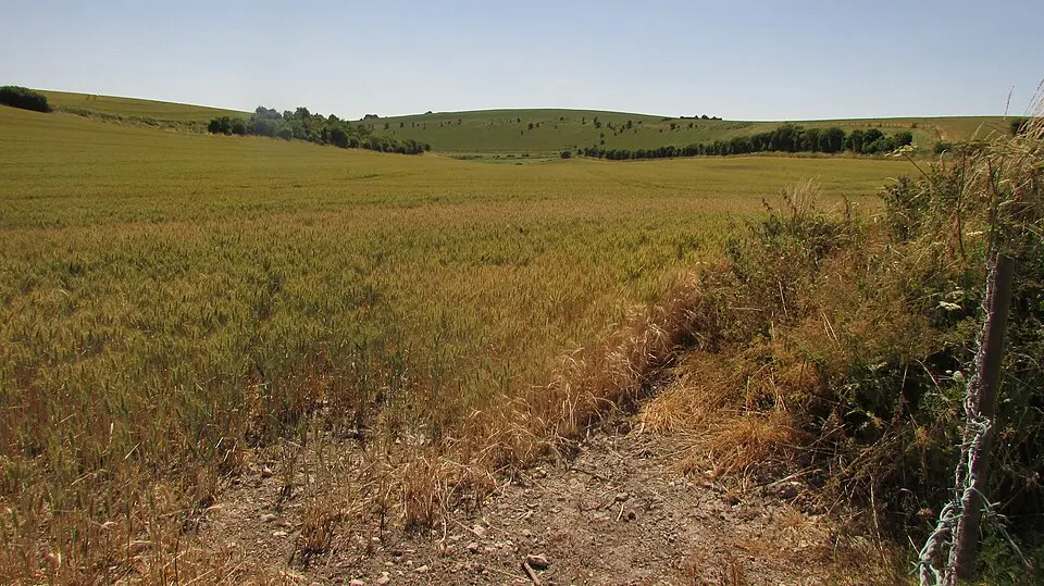 Grovely Castle and earthworks N of Grovely Wood