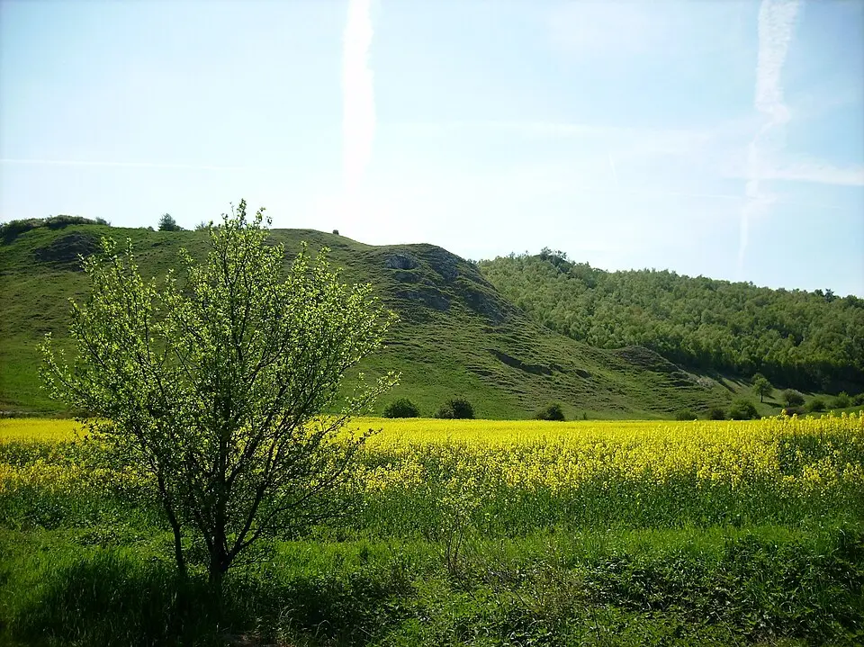 Badra