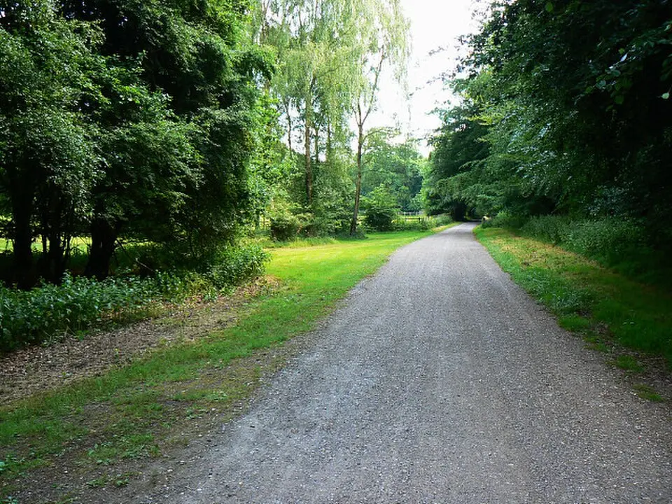 Savernake