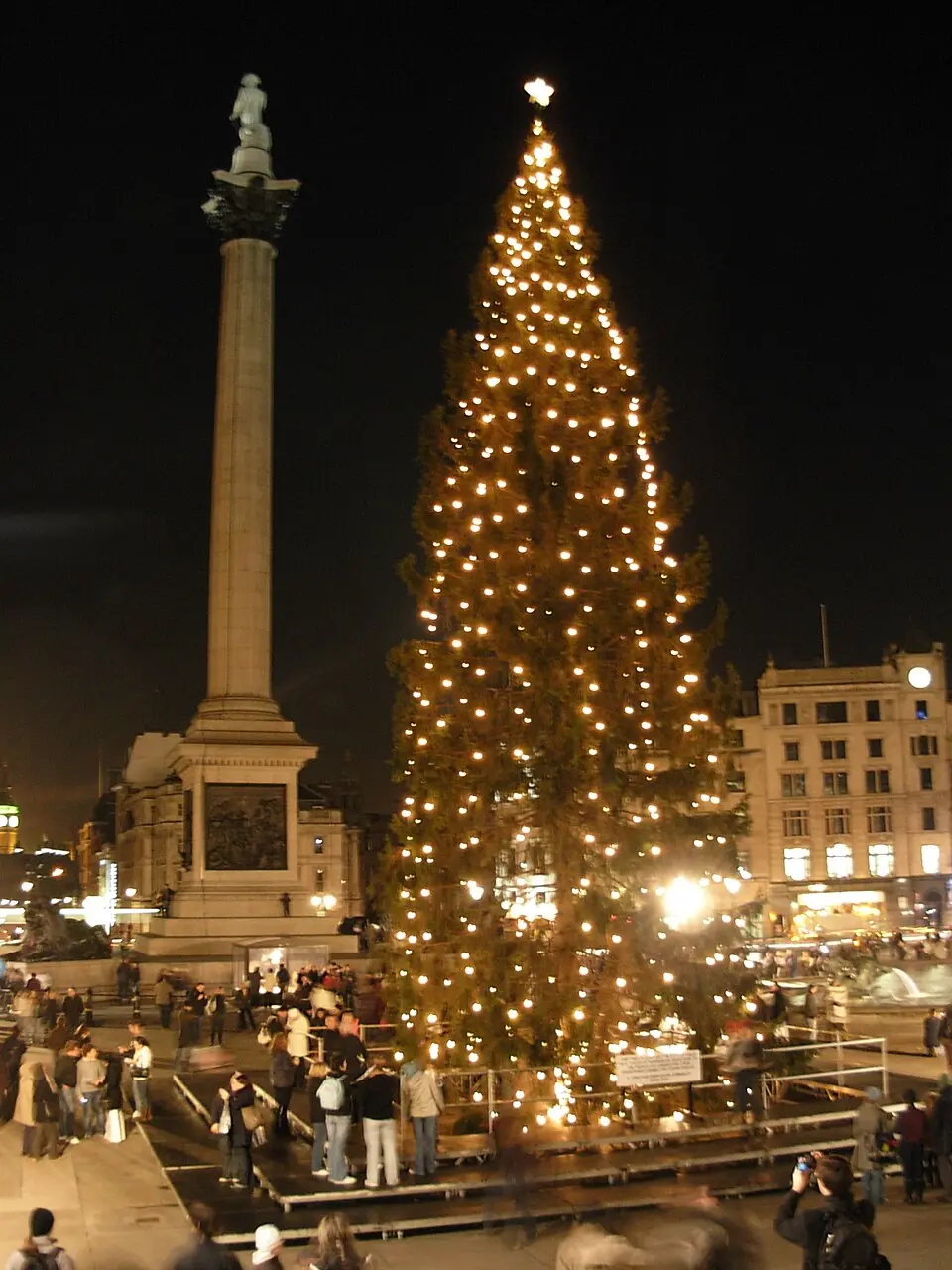 Trafalgar Square Christmas Tree