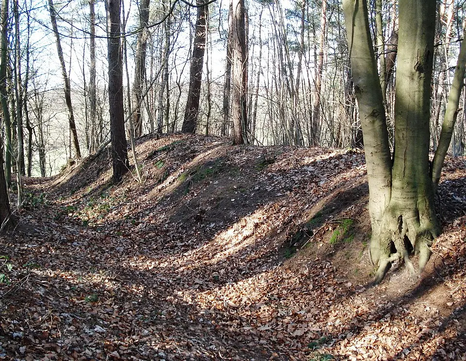 Burg im Riesebusch