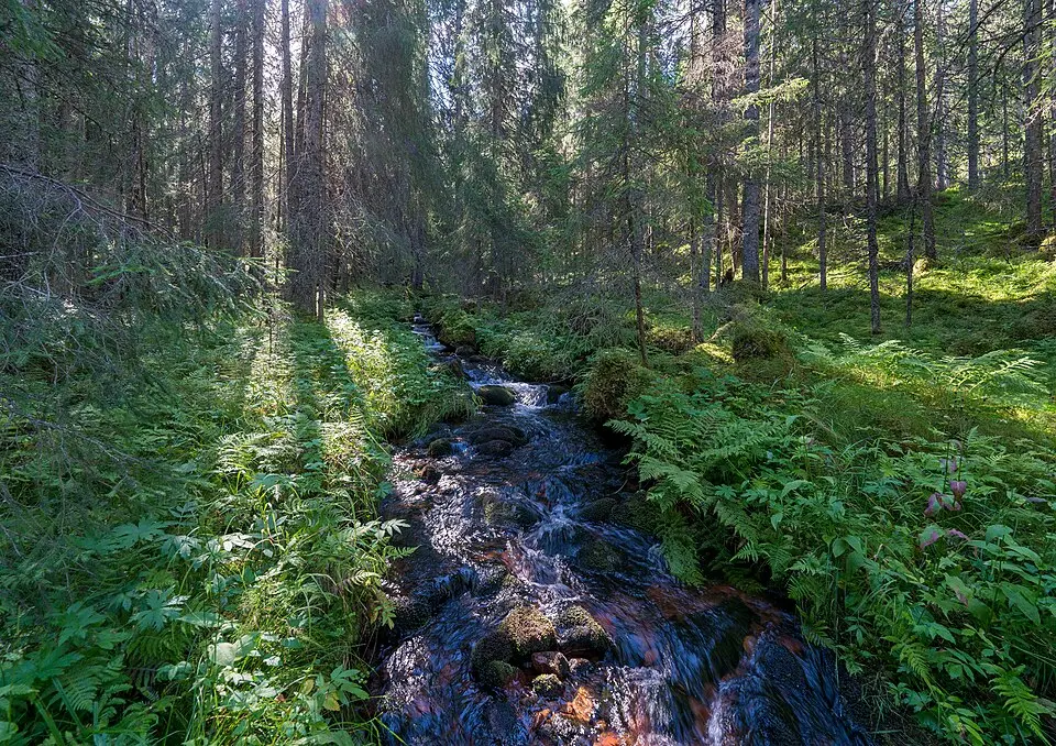 Tramsgrav