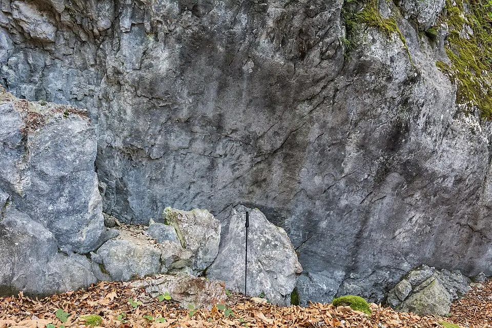Felsritzbilder