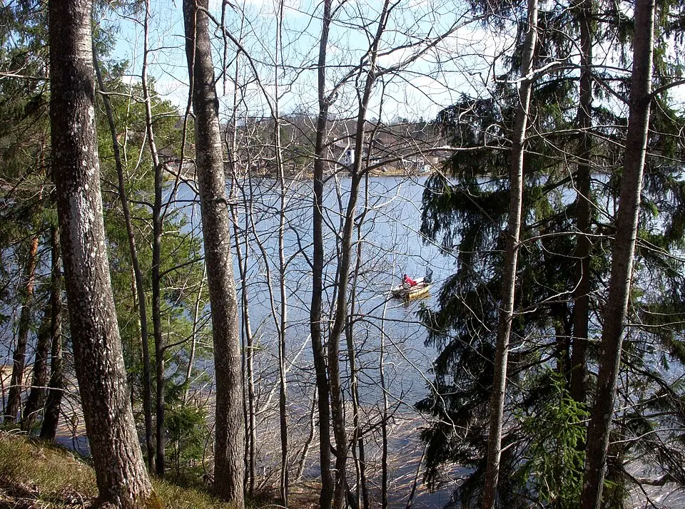 Trångsundsskogens naturreservat