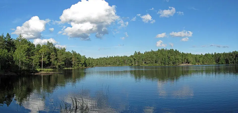 Trehörningen