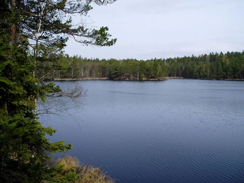 Trehörningen